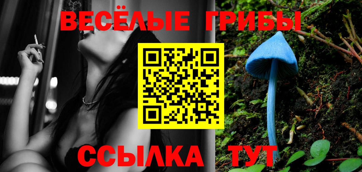 Псилоцибиновые грибы Cubensis  Вход с VPN  Псилоцибиновые грибы прущие грибы  Всеволожск 